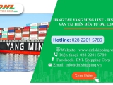 Hãng tàu Yang Ming line - Tin hoa vận tải biển đến từ Đài Loan