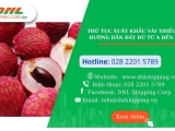 Thủ tục xuất khẩu vải thiều – Hướng dẫn đầy đủ từ A đến Z