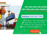 Việt Nam Xuất Siêu Những Mặt Hàng Nào Sang Trung Quốc?