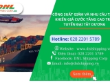Công Suất Giảm Và Nhu Cầu Tăng Khiến Giá Cước Tăng Cao Trên Tuyến Đại Tây Dương 