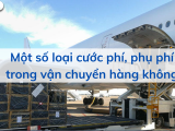 Một số loại cước phí, phụ phí trong vận chuyển hàng không  - Yếu tố ảnh hưởng đến giá cước 