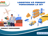 Logistics và Freight Forwarder là gì? Những điều bạn cần biết?