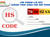 HS Code là gì? Cách tra cứu mã số thuế và mục đích của Mã HS như thế nào? 