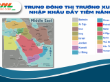 Cơ hội gia nhập thị trường xuất nhập khẩu giữa Việt Nam - Trung Đông