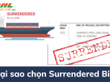 Surrendered Bill of lading là gì? Điều gì cần biết khi sử dụng vận đơn này 