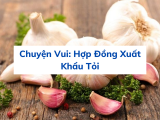 Chuyện Vui: Hợp Đồng Xuất Khẩu Tỏi