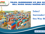 Telex, Surrender và Sea Way Bill khác nhau những gì?