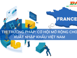Thị Trường Pháp: Cơ Hội Mở Rộng Cho Xuất Nhập Khẩu Việt Nam