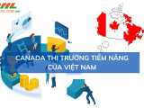 Canada - Thị trường tiềm năng xuất nhập khẩu: Cơ hội hợp tác của Việt Nam