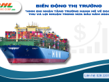 Biến động thị trường "HMM Ghi Nhận Tăng Trưởng Mạnh Mẽ Về Doanh Thu Và Lợi Nhuận Trong Nửa Đầu Năm 2024"