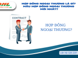 Hợp đồng ngoại thương là gì? Mẫu hợp đồng ngoại thương mới nhất