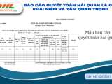 Báo Cáo Quyết Toán Hải Quan Là Gì?: Khái Niệm và Tầm Quan Trọng