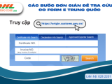  Các bước đơn giản để tra cứu CO Form E Trung Quốc