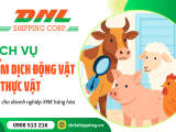 Dịch vụ kiểm dịch thực vật và động vật cho doanh nghiệp xuất nhập khẩu hàng hóa