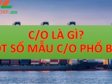 C/O là gì? Một số mẫu C/O phổ biến