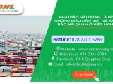 Khai báo hải quan là gì? Những điều cần biết về khai báo hải quan ở Việt Nam?