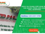 Dịch vụ cung cấp khai báo hải quan trọn gói của DNL SHIPPING.