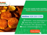 Thủ tục nhập khẩu Khuôn làm bánh Trung thu năm 2025