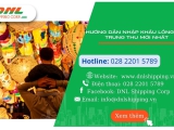 Thủ tục nhập khẩu lồng đèn trung thu mới nhất