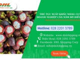 Thủ tục xuất khẩu măng cụt - Doanh nghiệp cần nắm rõ điều gì?