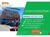 Tư Vấn Thủ Tục Hải Quan Chính Xác, Tiết Kiệm Chi Phí Cùng DNL SHIPPING