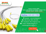 Cách Phân Biệt Seal Hải Quan Và Seal Hãng Tàu Trong Xuất Nhập Khẩu
