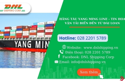Hãng tàu Yang Ming line - Tin hoa vận tải biển đến từ Đài Loan