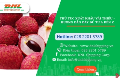 Thủ tục xuất khẩu vải thiều – Hướng dẫn đầy đủ từ A đến Z