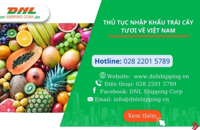 Thủ Tục Nhập Khẩu Trái Cây Về Việt Nam