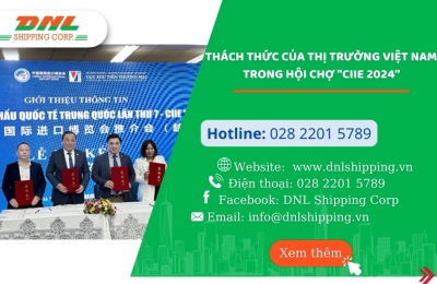 Thách Thức Của Thị Trường VIỆT NAM Đến "CIIE 2024"