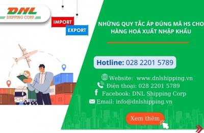 Những quy tắc áp đúng mã hs cho hàng hoá xuất nhập khẩu