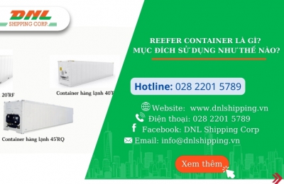 Reefer Container là gì? Mục đích sử dụng như thế nào?