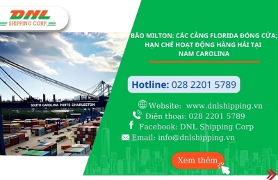 Bão Milton: Các cảng Florida đóng cửa; hạn chế hoạt động hàng hải tại Nam Carolina