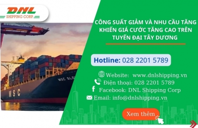 Công Suất Giảm Và Nhu Cầu Tăng Khiến Giá Cước Tăng Cao Trên Tuyến Đại Tây Dương 