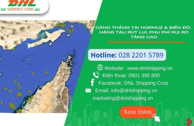 Căng Thẳng Tại Hormuz & Biển Đỏ: Các Hãng Tàu Đồng Loạt Rút Lui, Kích Hoạt Phụ Phí Rủi Ro Chiến Tranh
