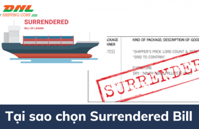 Surrendered Bill of lading là gì? Điều gì cần biết khi sử dụng vận đơn này 