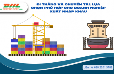 Đi Thẳng và Chuyển Tải: Lựa Chọn Phù Hợp Cho Doanh Nghiệp Xuất Nhập Khẩu