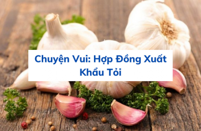 Chuyện Vui: Hợp Đồng Xuất Khẩu Tỏi