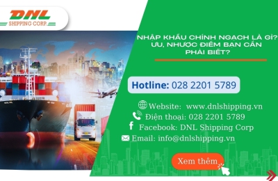 Nhập khẩu chính ngạch là gì? Ưu, nhược điểm bạn cần phải biết?