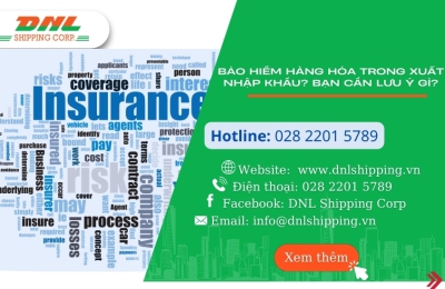 Bảo Hiểm Hàng Hóa Trong Xuất Nhập Khẩu? Bạn Cần Lưu Ý Gì?