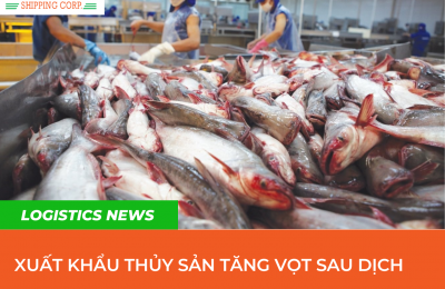 XUẤT KHẨU THỦY SẢN TĂNG VỌT SAU DỊCH