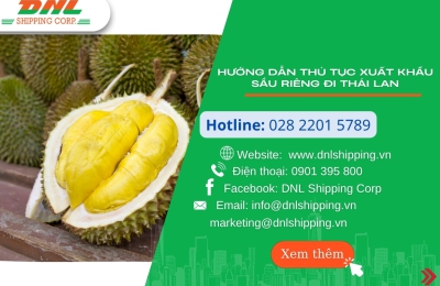 Hướng dẫn thủ tục xuất khẩu sầu riêng đi Thái Lan