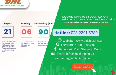 HS Code là gì trong xuất nhập khẩu?  Hướng dẫn cách tra cứu mã "HS CODE" mới nhất