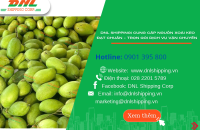  DNL SHIPPING| CUNG CẤP NGUỒN XOÀI KEO ĐẠT CHUẨN - TRỌN GÓI DỊCH VỤ VẬN CHUYỂN