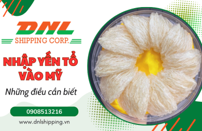 Nhập yến tổ vào Mỹ có được không? Cần chuẩn bị gì để thông quan