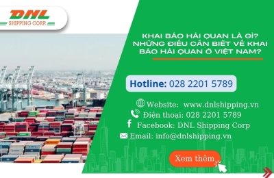 Khai báo hải quan là gì? Những điều cần biết về khai báo hải quan ở Việt Nam?