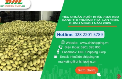 Tiêu chuẩn xuất khẩu Xoài keo sang thị trường Thái Lan 100% chính ngạch năm 2025 