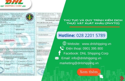 THỦ TỤC VÀ QUY TRÌNH KIỂM DỊCH THỰC VẬT XUẤT KHẨU (Phyto)