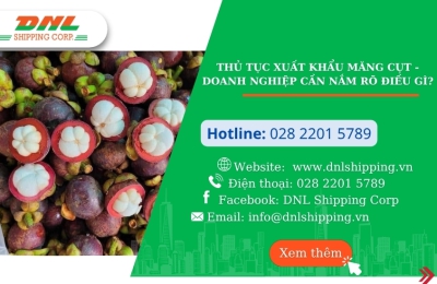 Thủ tục xuất khẩu măng cụt - Doanh nghiệp cần nắm rõ điều gì?