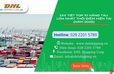 CHI TIẾT TOP 10 HÃNG TÀU LỚN NHẤT THỜI ĐIỂM HIỆN TẠI (NĂM 2025)